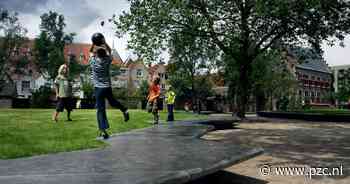 Mooie of bijzondere boom in de wijk? Misschien wint-ie wel de nieuwe Dordtse boomverkiezing - Provinciale Zeeuwse Courant