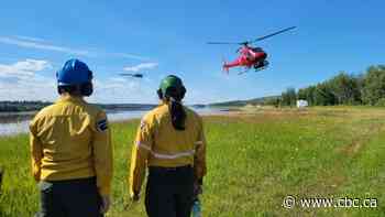Wood Buffalo National Park anthrax outbreak appears to slow, no new carcasses in past week