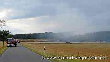 Großer Waldbrand bei Königslutter: 190 Feuerwehrkräfte vor Ort