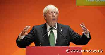 Boris Johnson 'should stay on as PM after Tory cybersecurity scare' says peer - The Mirror