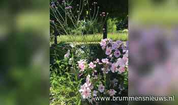 Open tuinen in Brummen/Tonden - Brummens Nieuws