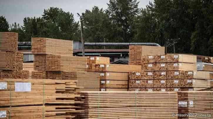 Ottawa to challenge lower but ‘baseless’ U.S. duties on softwood lumber, says Ng