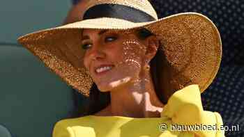 Kijk: Royals in zomers en zonnig geel - Blauw Bloed