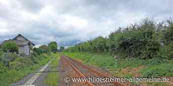 Zugstrecke in Region Hildesheim teilweise gesperrt: Große Beeinträchtigungen für Fahrgäste - www.hildesheimer-allgemeine.de
