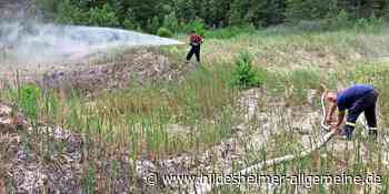 Einsatz wegen Dürre: Wie eine Feuerwehr aus dem Kreis Hildesheim geschützte Kröten rettet - www.hildesheimer-allgemeine.de