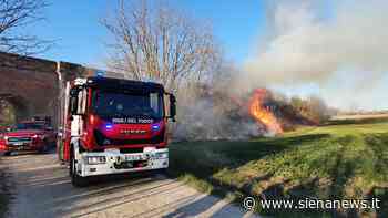 Incendi tra Siena e Arezzo, vigili del fuoco impegnati a Molinello Sinalunga e Farneta Lucignano - Siena News