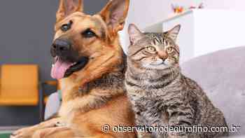 Ouro Fino promove campanha de vacinação antirrábica em cães e gatos - Observatório de Ouro Fino