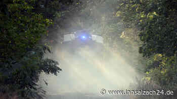 Großfeuer in Berlin: Feuerwehr kämpft mit Waldbrand um Autobahn – Einsatzkräfte wagen sich in Sperrzone