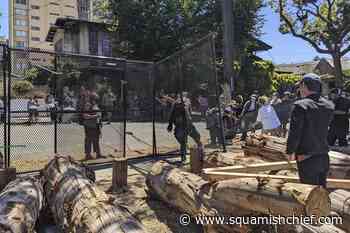 Protesters stop construction at Berkeley's People's Park - Squamish Chief