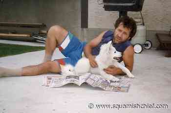 Website to for wrongful conviction of Sebastian Peter Cerra - Squamish Chief