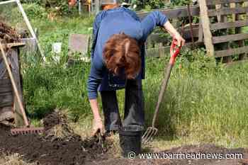 'Intellectually, socially and physically active lifestyle may ward off dementia' - Barrhead News