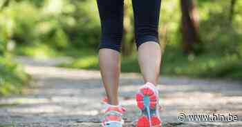Inschrijven voor Mollekestrail vanaf vandaag: “Herent zet zich achter de olympische gedachte.” - Het Laatste Nieuws