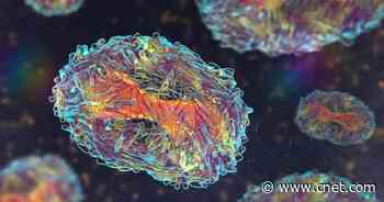 US Declares Monkeypox a Public Health Emergency     - CNET