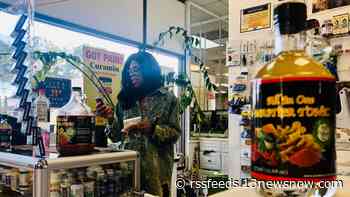 Military Circle Mall business owners react to mall closing