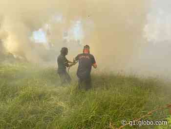 Capivari registra 22 ocorrências de incêndio em mata em três meses, aponta Defesa Civil - Globo