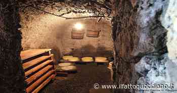 Fontina, se ancora esiste è grazie all’ottanta per cento dei lavoratori stranieri - Il Fatto Quotidiano