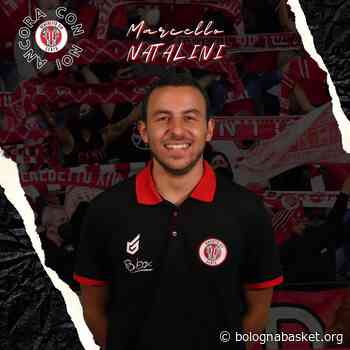 CENTO, RINNOVATO IL TEAM MANAGER MARCELLO NATALINI - BOLOGNABASKET | IL PORTALE DEL BASKET A BOLOGNA E PROVINCIA - Bologna Basket
