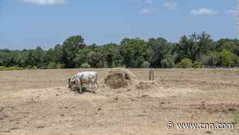 Half the country is in drought, and no region has been spared