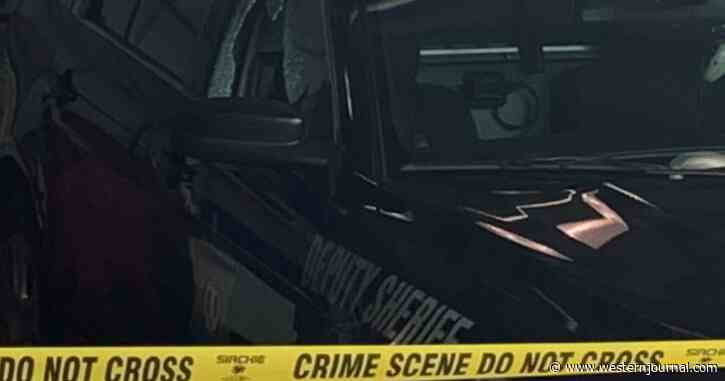 Deputies Thought They Were Responding to 911 Call, Instead It Was 'An Ambush to Kill Cops'