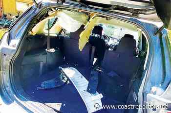 Elphinstone Chronicles: Local bear car break-ins on the rise - Coast Reporter
