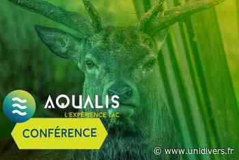 Le cerf Aqualis, l’expérience lac mercredi 21 septembre 2022 - Unidivers