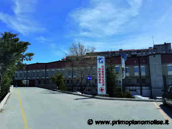 Campobasso. Oncologica grave da giorni al Pronto soccorso, i figli: non sappiamo nulla di lei - Primo Piano Molise