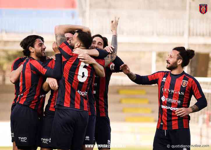 Clamoroso Campobasso calcio: il Consiglio di Stato sospende l'esclusione dalla Lega Pro - Il Quotidiano del Molse