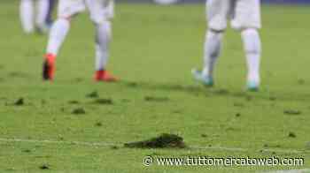 TMW - Campobasso estromesso dalla C, Virgilio è sul mercato: 4 club pronti all'affonto - TUTTO mercato WEB