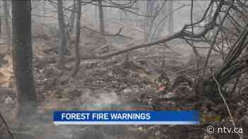 More forest fire warnings in central Newfoundland - ntv.ca - NTV News