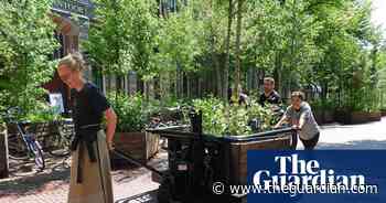 ‘Walking’ forest of 1,000 trees transforms Dutch city​ - The Guardian
