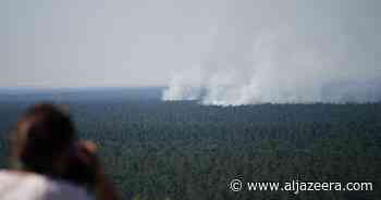 Berlin forest fire triggered by WWII ammunition dump blasts - Al Jazeera English