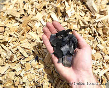 Haliburton Forest Biochar announces $10 million expansion - Haliburton County Echo