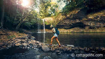 Can “forest bathing” help reduce your stress? - Cottage Life