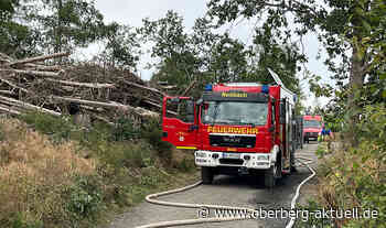 Feuerwehr bekämpfte Waldbrand bei Wildberg - Oberberg Aktuell