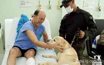 Hospital Municipal de Casimiro de Abreu inicia projeto de terapia com animais - O Dia