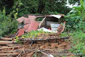 Torrential rains hit Cote d'Ivoire - Farmers Review Africa