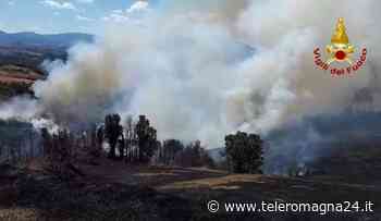 CESENA: Incendio della vegetazione a Sogliano al Rubicone | VIDEO - Teleromagna24