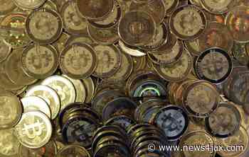 Florida’s CFO warns of ‘pig butchering’ cryptocurrency scam - WJXT News4JAX