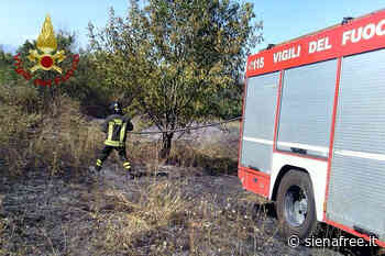 Incendio di sterpaglie lambisce abitazioni - SienaFree.it