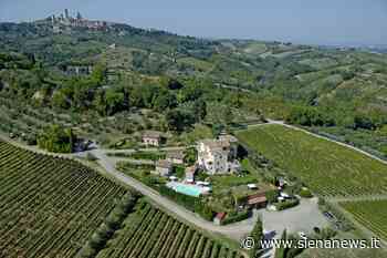 Agriturismo, tornano gli stranieri. Stagione estiva ai livelli pre-covid - Siena News