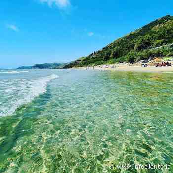Castellabate e Pollica, il mare è in perfetto stato di salute - Info Cilento