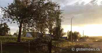 ‘Ferocious’ storm leaves small Saskatchewan town in cleanup mode - Global News