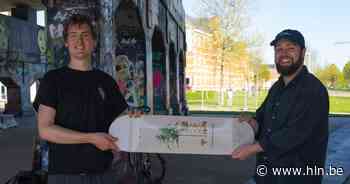 Duo achter skatemerk houdt skatewedstrijd met afterparty aan Turtle Yard - Het Laatste Nieuws