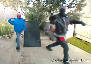 RCMP investigate armed robbery, attempted dognapping in Ponoka