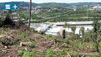 Klimawandel: Worauf Siegen sich vorbereiten muss – und wie - WP News