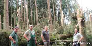 Vorsicht! Sturm schädigte viele Wälder im nordöstlichen Landkreis Forchheim - Nordbayern.de