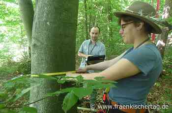 Bäume im Landkreis Forchheim werden bei vierter Bundeswaldinventur untersucht - Fränkischer Tag