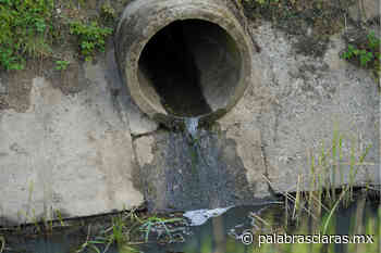 Denuncian olores fétidos por acumulación de aguas negras en colonias de Coatepec | PalabrasClaras.mx - PalabrasClaras.mx
