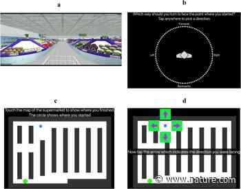 Predicting real world spatial disorientation in Alzheimer's disease patients using virtual reality navigation tests | Scientific Reports - Nature.com