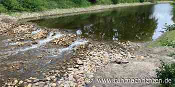 Niedrige Pegel: Kreis Coesfeld verbietet Wasserentnahme aus Gewässern - Ruhr Nachrichten